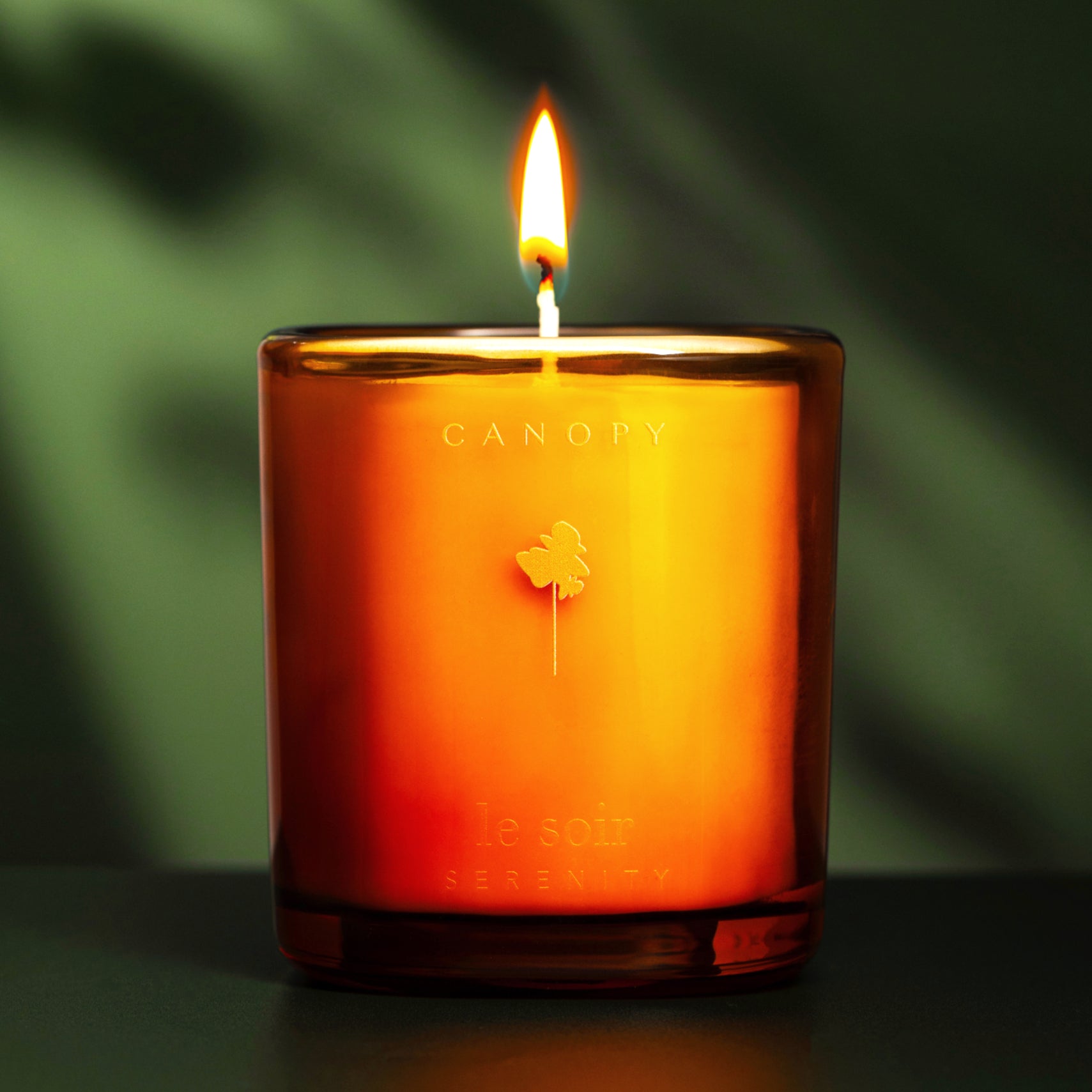<p>Seasonal Subscription.</p>