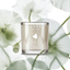 BIODEGRADABLE SOY WAX - ITS MATTERS