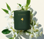 Classic Clean Calm Candles