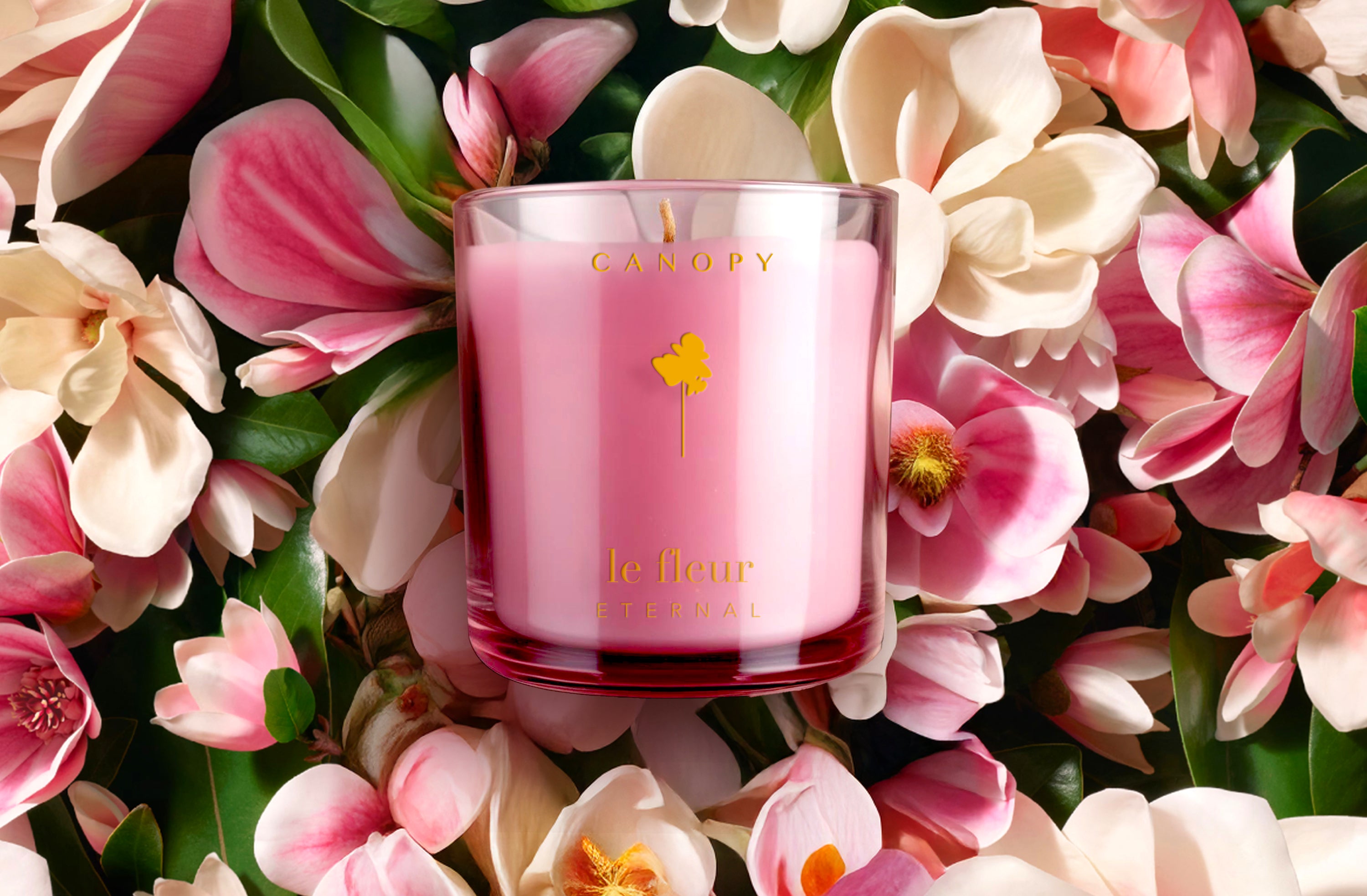 Candles | Vegan Candles for a Serene Home – CANOPY