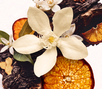 ORANGE Bergamot & Ember Mini Home CANDLE