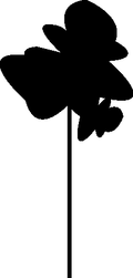 GROUND