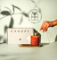 CANOPY box with candle and hand reaching, styled with natural shadows and minimal aesthetics.