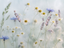 A soft-focus floral scene with white daisies, lavender sprigs, and blue cornflowers on a pale misty background with water droplets.