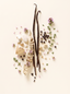 A styled flat-lay of natural ingredients on a warm cream background, featuring two long dark vanilla beans, a dried vanilla pod, small pink flowers, black peppercorns, white crystals, and green herb sprigs.