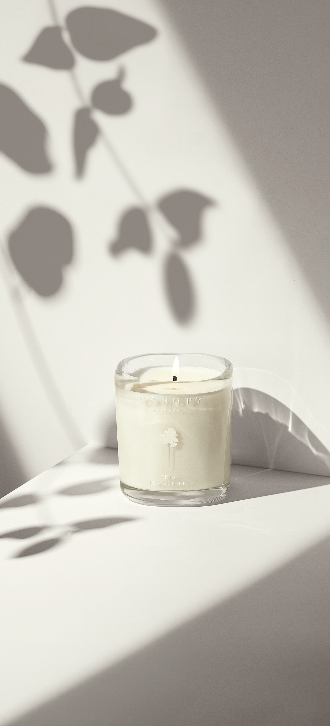 SOY Candles