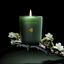 FIRST LIGHT – 100% Soy Wax Candle