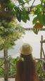 BOREALIS Light Brightening Brilliance Serum